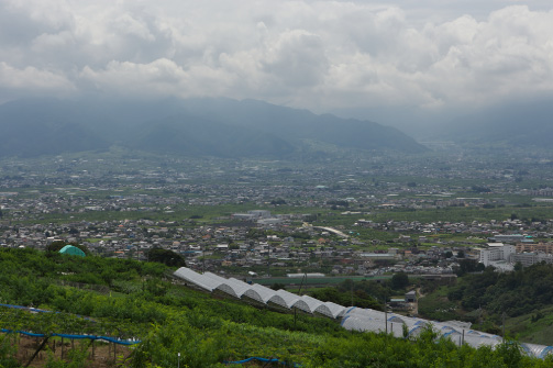 くだもの王国、山梨は果物に適した理想的な扇状地