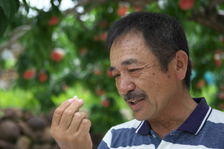 あめやのもものあめ「太陽のウインク」を食べていただく