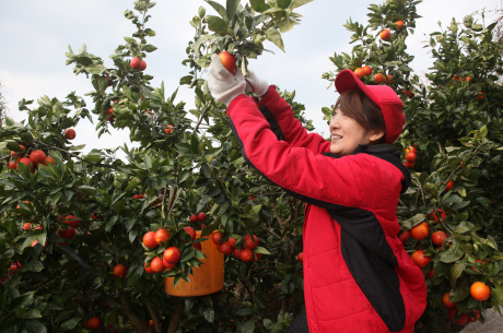 YAMAUCHI FARMの山内 直子さん