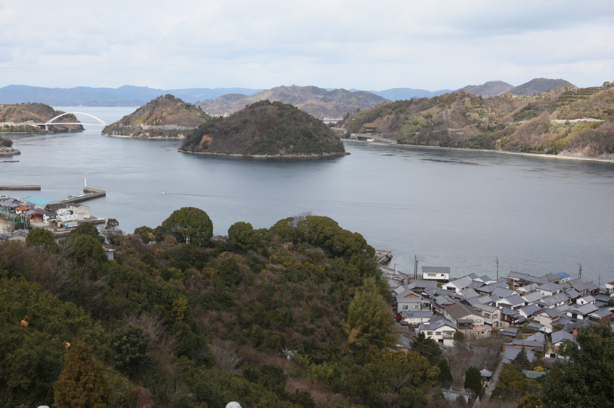 [広島]大長レモン