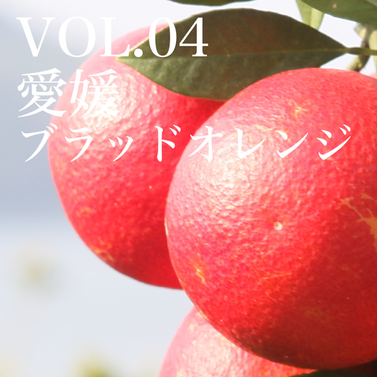 VOL.04 愛媛ブラッドオレンジ