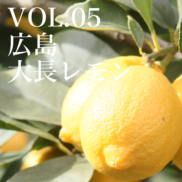 VOL.05 広島大長レモン